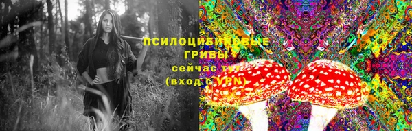 гидропоника Верхний Тагил