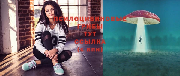гидропоника Верхний Тагил